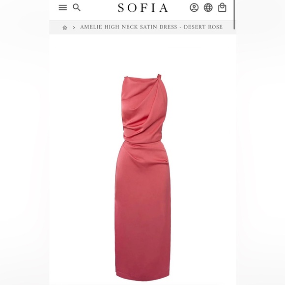 NWT Sofia “Amelie” Satin Dress in “Desert Rose” - Picture 4 of 6